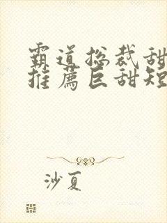 霸道总裁甜宠文推荐巨甜短篇