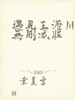 遇见王沥川小说无删减版