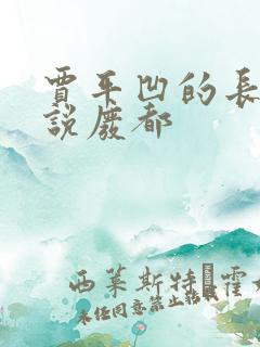 贾平凹的长篇小说废都