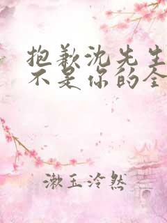 抱歉沈先生孩子不是你的全集