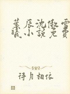 叶辰沈傲雪林若曦小说免费阅读