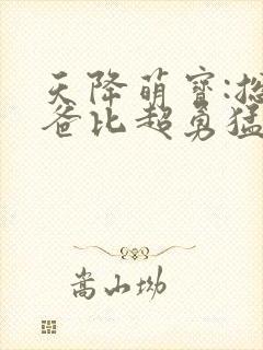 天降萌宝:总裁爸比超勇猛