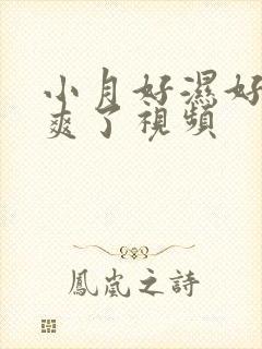 小月好湿好紧太爽了视频