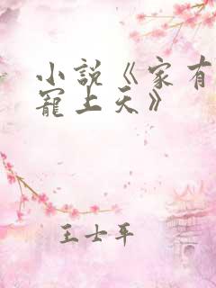 小说《家有萌妻宠上天》