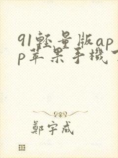 91轻量版app苹果手机下载