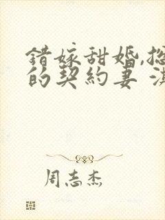 错嫁甜婚,总裁的契约妻 淇沅