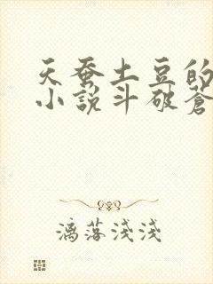 天蚕土豆的全部小说斗破苍穹