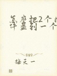 怎么把2个扫描件并到一个文件