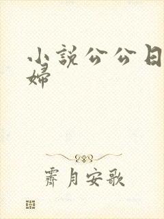 小说公公日儿媳妇