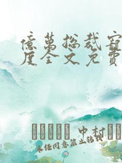 亿万总裁宠妻无度全文免费阅读