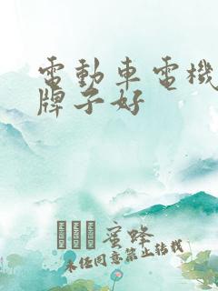 电动车电机哪个牌子好