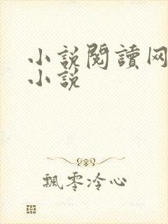 小说阅读网完结小说