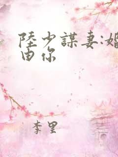 陆少谋妻:婚不由你