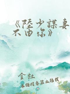 《陆少谋妻之婚不由你》
