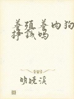 养殖养肉狗的能挣钱吗