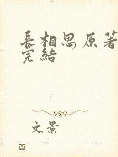 长相思原著小说完结