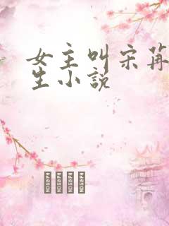 女主叫宋苒的重生小说