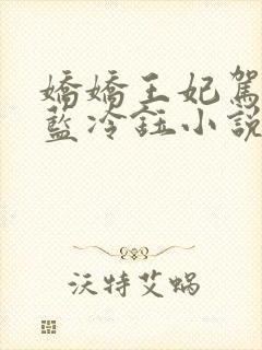 娇娇王妃驾到洛蓝冷钰小说版