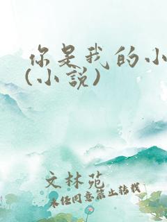 你是我的小确幸(小说)