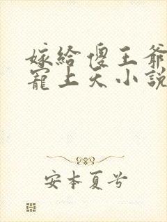 嫁给傻王爷后被宠上天小说