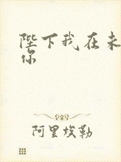 陛下我在未来等你