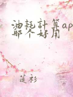 油耗计算app哪个好用