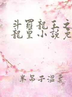 斗罗龙王之光暗龙皇小说免费阅读