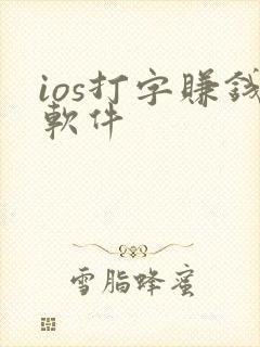 ios打字赚钱软件