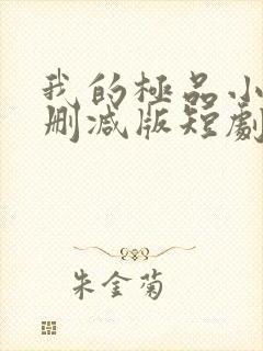 我的极品小姨未删减版短剧