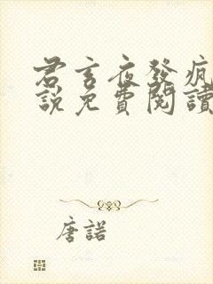 君玄夜发疯的小说免费阅读