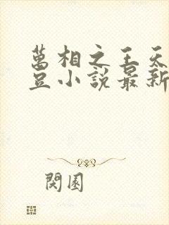 万相之王天蚕土豆小说最新章节