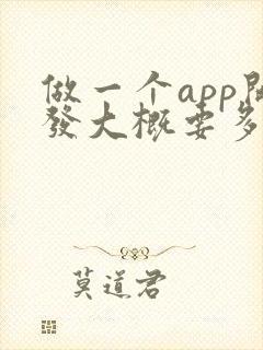 做一个app开发大概要多少钱