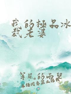 我的极品冰山总裁老婆