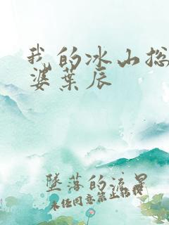 我的冰山总裁老婆叶辰