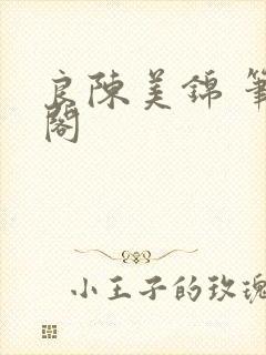 良陈美锦 笔趣阁