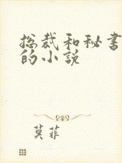 总裁和秘书隐婚的小说