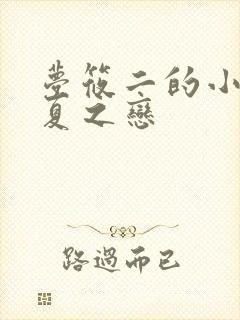 梦筱二的小说盛夏之恋