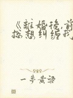 《离婚后,前夫总想纠缠我》