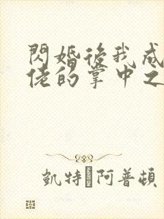 闪婚后我成了大佬的掌中之物32