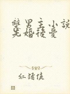 双男主小说推荐先婚后爱