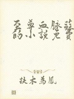 至尊血脉苏铭渊的小说免费阅读