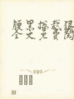 腹黑总裁狠给力全文免费阅读