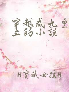 穿越成九皇子身上的小说