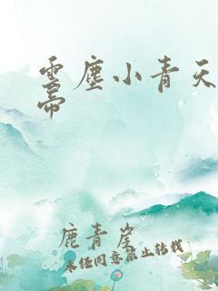 云尘小青天武神帝