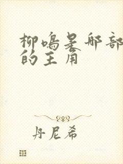 柳鸣是哪部小说的主角