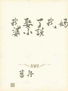我娶了我妈当老婆小说