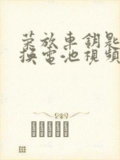 荣放车钥匙怎么换电池视频