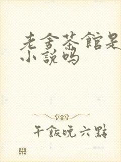 老舍茶馆是长篇小说吗