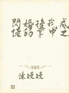 闪婚后我成了大佬的掌中之物 小说