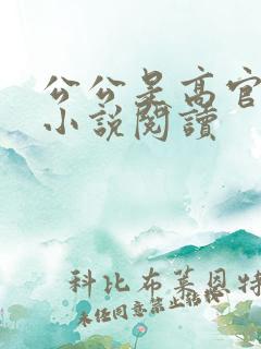 公公是高官儿媳小说阅读